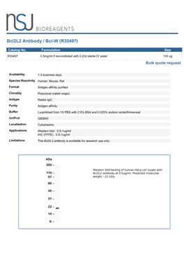 Bcl2l2 Antibody / Bcl-W (R30497)