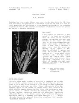 Plant Pathology Circular No. 27 Florida Dept. of Agriculture September 1964 Division of Plant Industry GLADIOLUS VIRUSES A. P