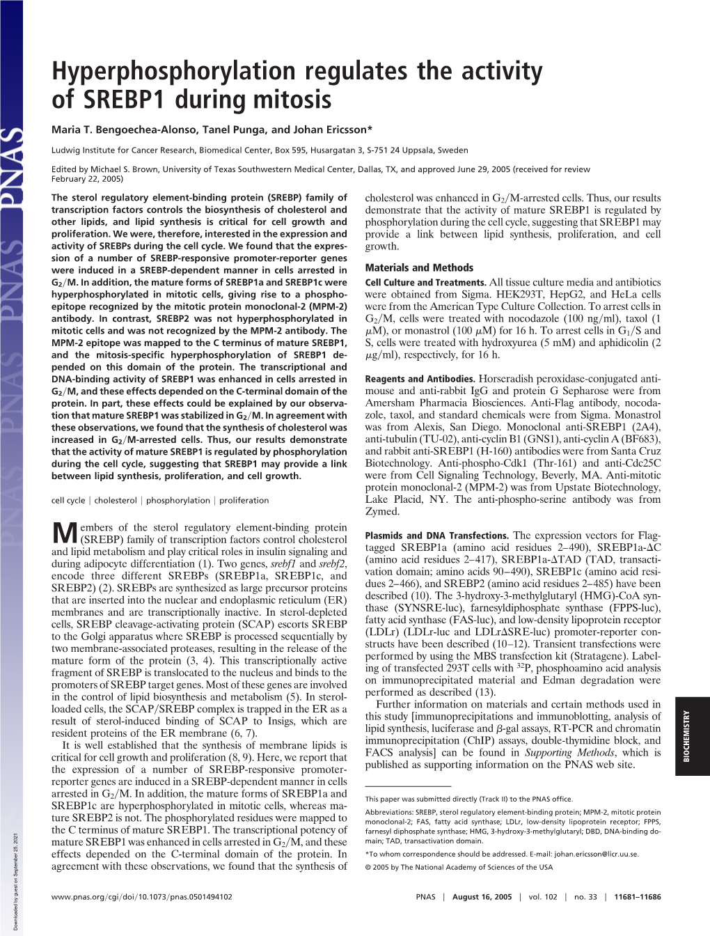 Hyperphosphorylation Regulates the Activity of SREBP1 During Mitosis