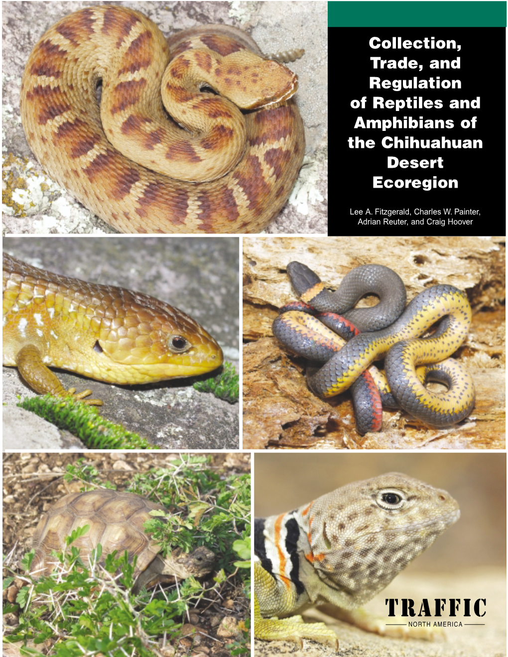 Collection, Trade, and Regulation of Reptiles and Amphibians of the Chihuahuan Desert Ecoregion