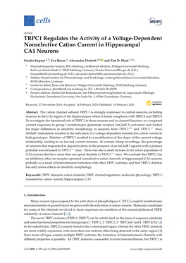 TRPC1 Regulates the Activity of a Voltage-Dependent Nonselective Cation Current in Hippocampal CA1 Neurons