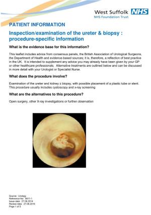Inspection Examination of the Ureter and Biopsy Procedure Specific