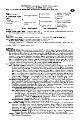 YEARLING, Consigned by Keith Harte, Agent the Property of Mr Max Ervine Will Stand at Park Paddocks, Somerville Paddock P, Box 335