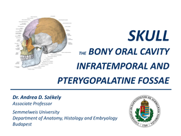 The Bony Oral Cavity Infratemporal and Pterygopalatine Fossae