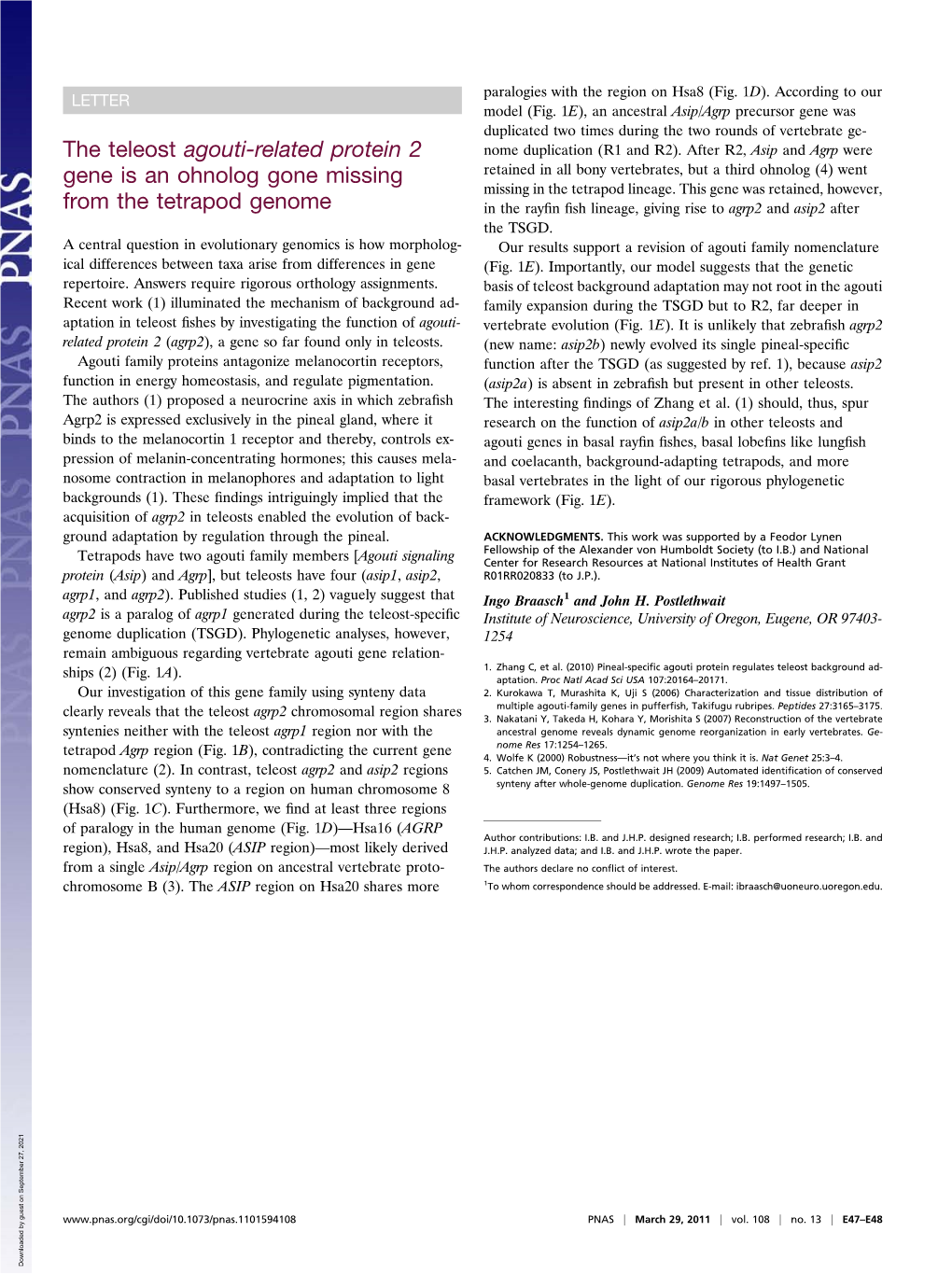 The Teleost Agouti-Related Protein 2 Gene Is an Ohnolog Gone Missing