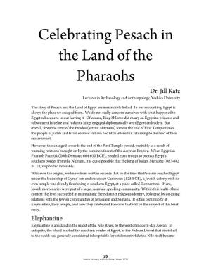 Celebrating Pesach in the Land of the Pharaohs Dr
