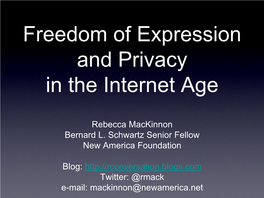 Freedom of Expression and Privacy in the Internet Age