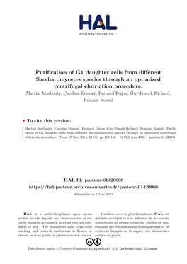 Purification of G1 Daughter Cells from Different Saccharomycetes Species Through an Optimized Centrifugal Elutriation Procedure