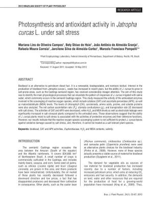 Photosynthesis and Antioxidant Activity in Jatropha Curcas L. Under Salt Stress