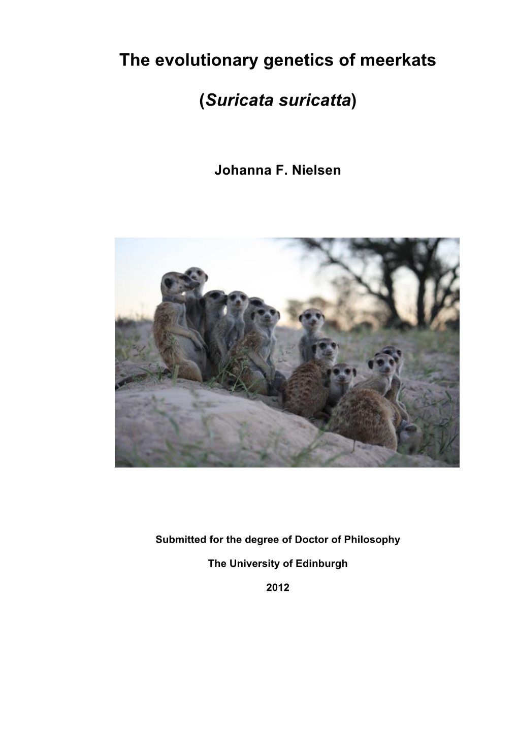 The Evolutionary Genetics of Meerkats (Suricata Suricatta)