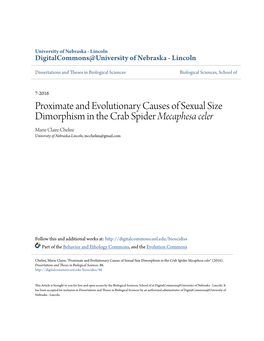 Proximate and Evolutionary Causes of Sexual Size Dimorphism in the Crab Spider