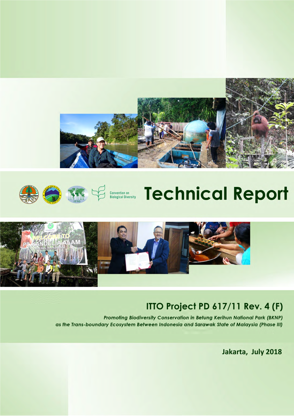 Final Technical Report.Pdf