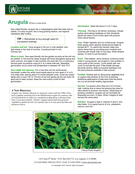 Arugula Eruca Vesicaria a New Discovery