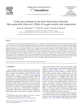 Cyclic Gas Exchange in the Giant Burrowing Cockroach, Macropanesthia Rhinoceros: Effect of Oxygen Tension and Temperature