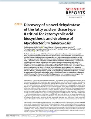 Discovery of a Novel Dehydratase of the Fatty Acid Synthase Type II Critical