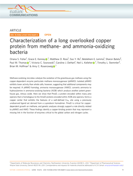 Characterization of a Long Overlooked Copper Protein from Methane- and Ammonia-Oxidizing Bacteria