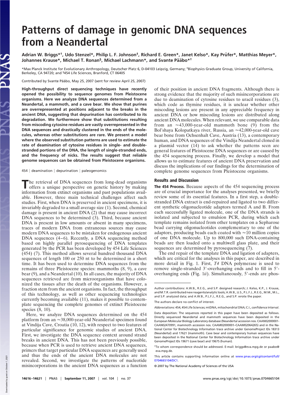 Patterns of Damage in Genomic DNA Sequences from a Neandertal