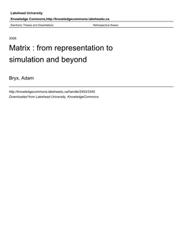 Matrix : from Representation to Simulation and Beyond