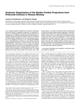 Anatomic Organization of the Basilar Pontine Projections from Prefrontal Cortices in Rhesus Monkey