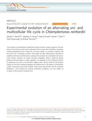 And Multicellular Life Cycle in Chlamydomonas Reinhardtii