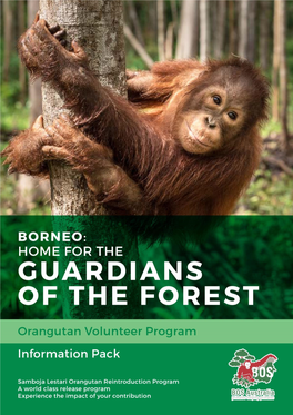 Fundraising Efforts in the Lead up to the Trip, You Are Also Helping to Raise Awareness of Orangutans and the Work of BOSA