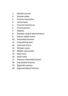 1. Alveolar Process 2. Alveolar Yokes 3. Anterior Nasal Spine 4. Canine Fossa 5