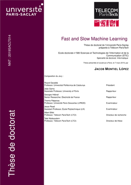 Fast and Slow Machine Learning