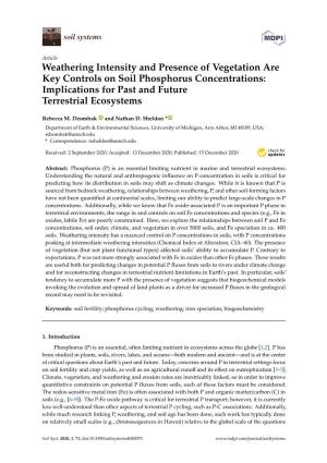 Weathering Intensity and Presence of Vegetation Are Key Controls on Soil Phosphorus Concentrations: Implications for Past and Future Terrestrial Ecosystems