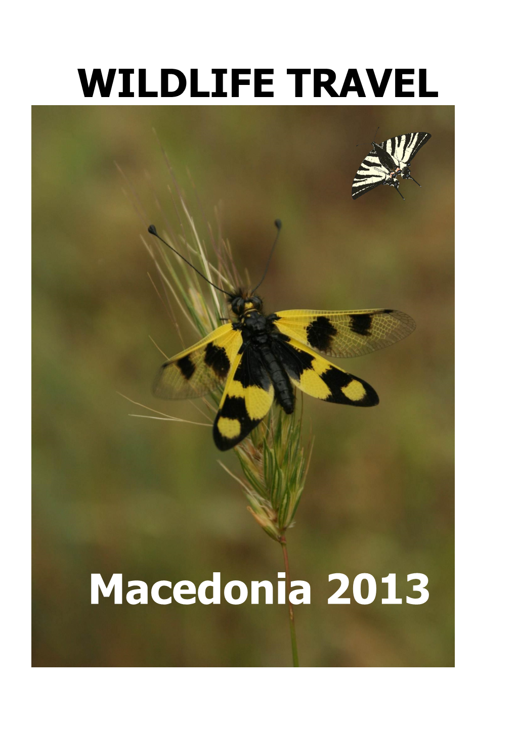 Wildlife Travel Macedonia 2013