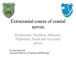 Extracranial Course of Cranial Nerves