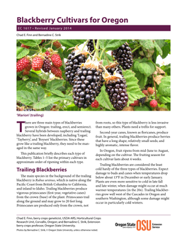 Blackberry Cultivars for Oregon EC 1617 • Revised January 2014