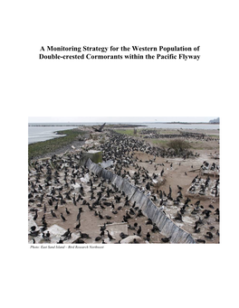 A Monitoring Strategy for the Western Population of Double-Crested Cormorants Within the Pacific Flyway
