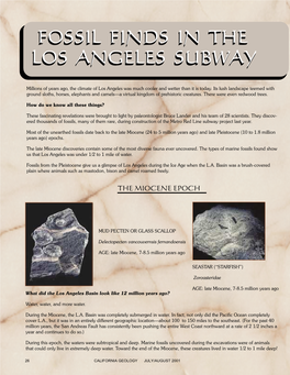 Fossil Finds in the Los Angeles Subway