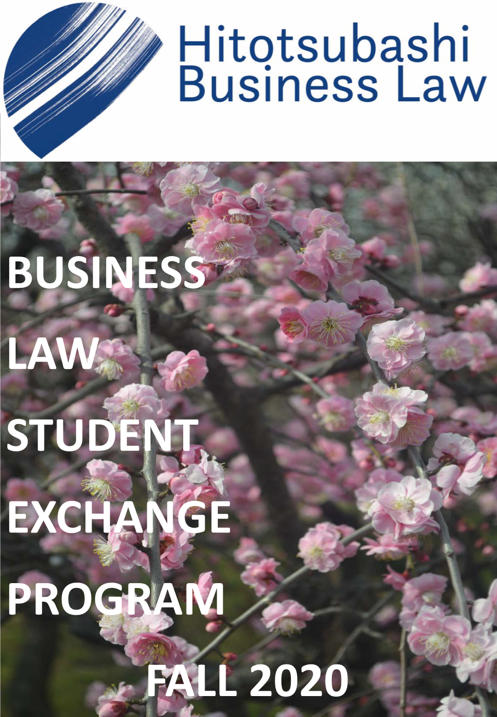 BUSINESS LAW STUDENT EXCHANGE PROGRAM FALL 2020 Contents