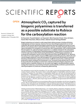 Atmospheric CO2 Captured by Biogenic Polyamines Is Transferred