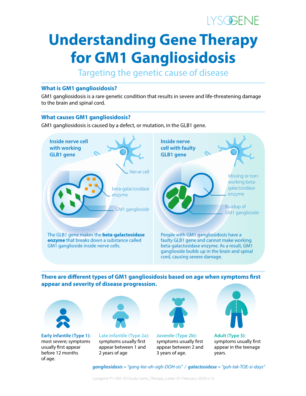Understanding Gene Therapy for GM1 Gangliosidosis Targeting the Genetic Cause of Disease