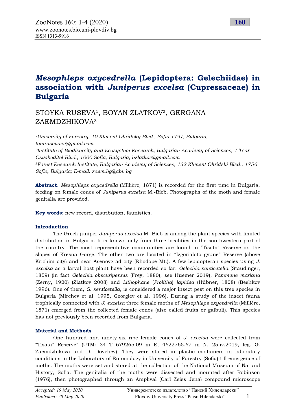 Lepidoptera: Gelechiidae) in Association with Juniperus Excelsa (Cupressaceae) in Bulgaria