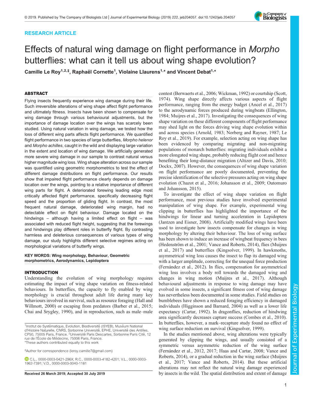 Effects of Natural Wing Damage on Flight Performance In