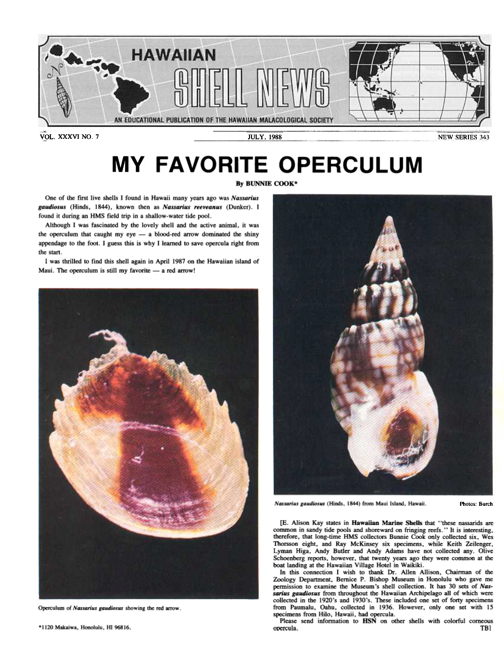 FAVORITE OPERCULUM by BUNNIE COOK*