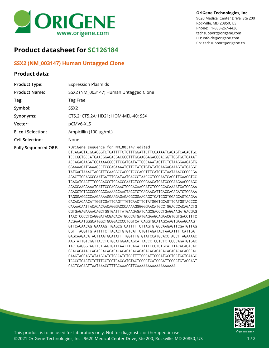 SSX2 (NM 003147) Human Untagged Clone – SC126184 | Origene