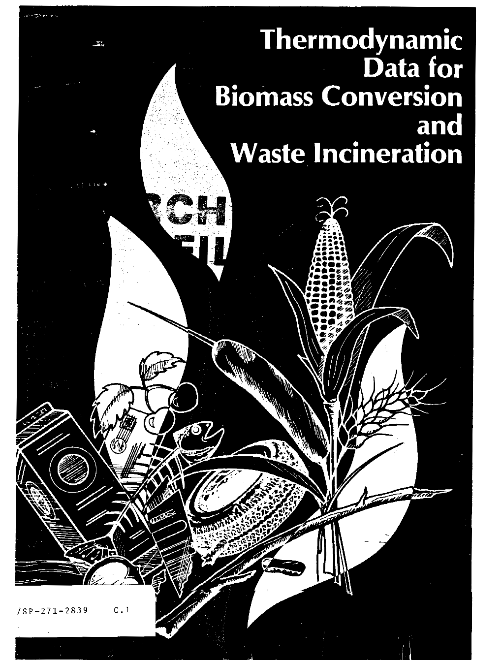 Thermodynamic Data for Biomass Conversion and Waste Incineration