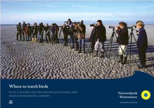 Where to Watch Birds in the SCHLESWIG-HOLSTEIN WADDEN SEA NATIONAL PARK and BIOSPHERE RESERVE; GERMANY a Paradise for Birds and Birdwatchers 1,2 Mio