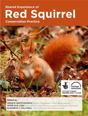 Red Squirrel Conservation Ebook