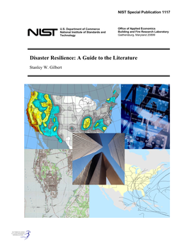 Disaster Resilience: a Guide to the Literature