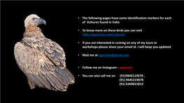 • the Following Pages Have Some Identification Markers for Each of Vultures Found in India • to Know More on These Birds Yo