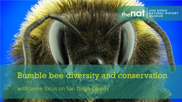 Bumble Bee Diversity and Conservation