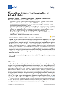 Genetic Renal Diseases: the Emerging Role of Zebrafish Models