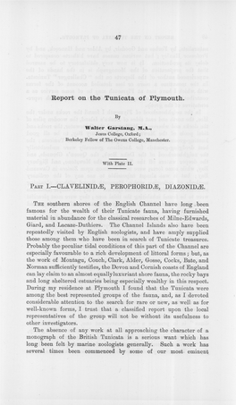 Report on the Tunicata of Plymouth