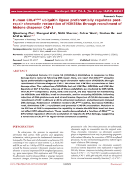 Repair Chromatin Restoration of H3k56ac Through Recruitment of Histone Chaperon CAF-1