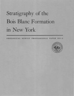 Stratigraphy of the Bois Blanc Formation in New York